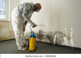 Mold Odor Removal Services in Belle Fourche, SD